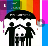 CONSULTA LEGAL SOBRE PIN PARENTAL: PROYECTO ALEXIA-VOX. ESCRITO ALTERNATIVO DE DAG PARA LA PROTECCIÓN FILIAL.